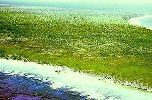 Air Photo of Henderson Island