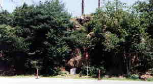 The Bluff I